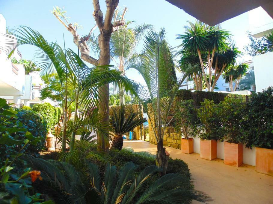 Apartament Beautiful Penthouse In A Perfect Location Estepona Zewnętrze zdjęcie