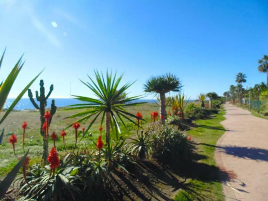 Apartament Beautiful Penthouse In A Perfect Location Estepona Zewnętrze zdjęcie