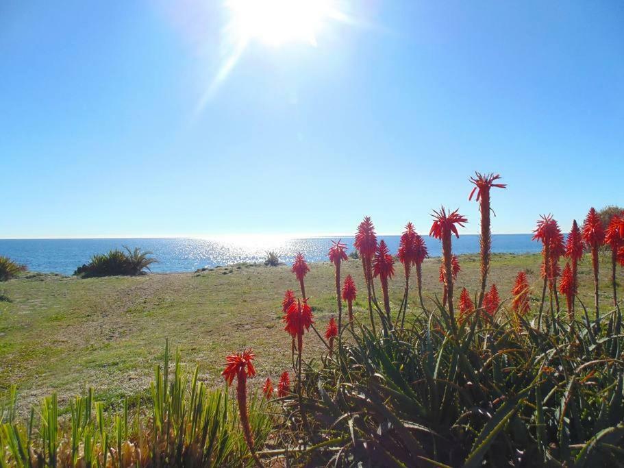 Apartament Beautiful Penthouse In A Perfect Location Estepona Zewnętrze zdjęcie